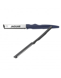 Jaguar 3803